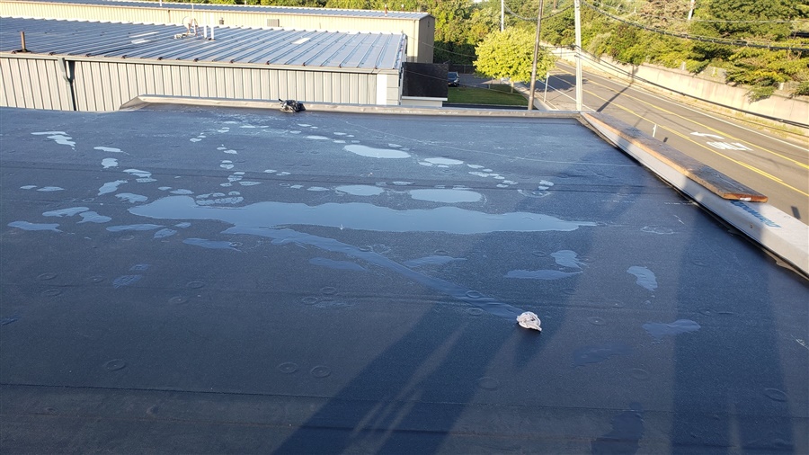 water on a roof