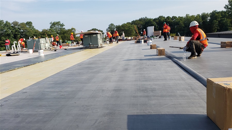 a group of people on a roof