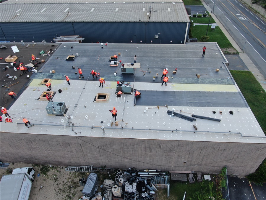 a group of people on a roof